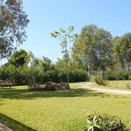 Kleopatra - Seaside * Kolios